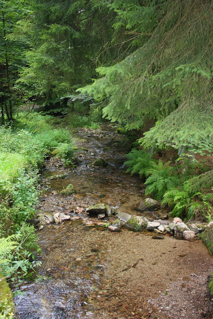 Thüringer Wald Tabarz Rundwanderung Thorstein - Start Lauchagrund by Gottfried Hoffmann - der Thüringer