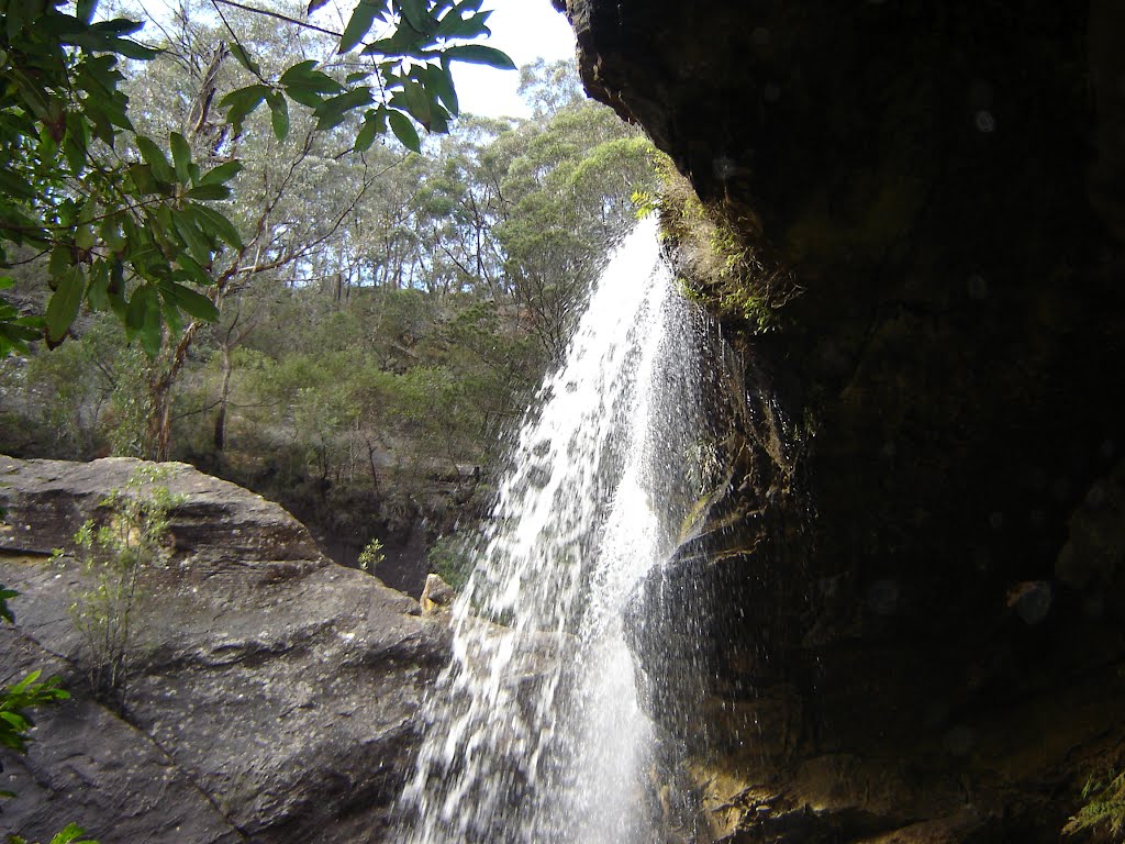 Forty Foot Falls near Mittagong. by shscsecretary