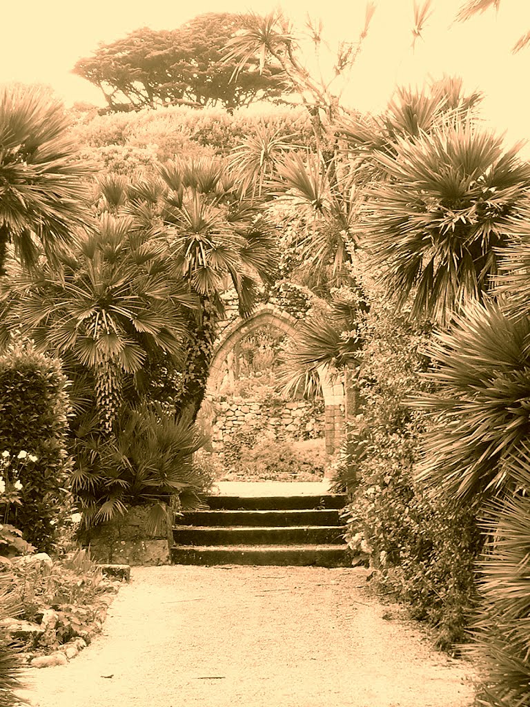 Tresco Abbey gardens in the Isles of Scilly by Chris Scaysbrook