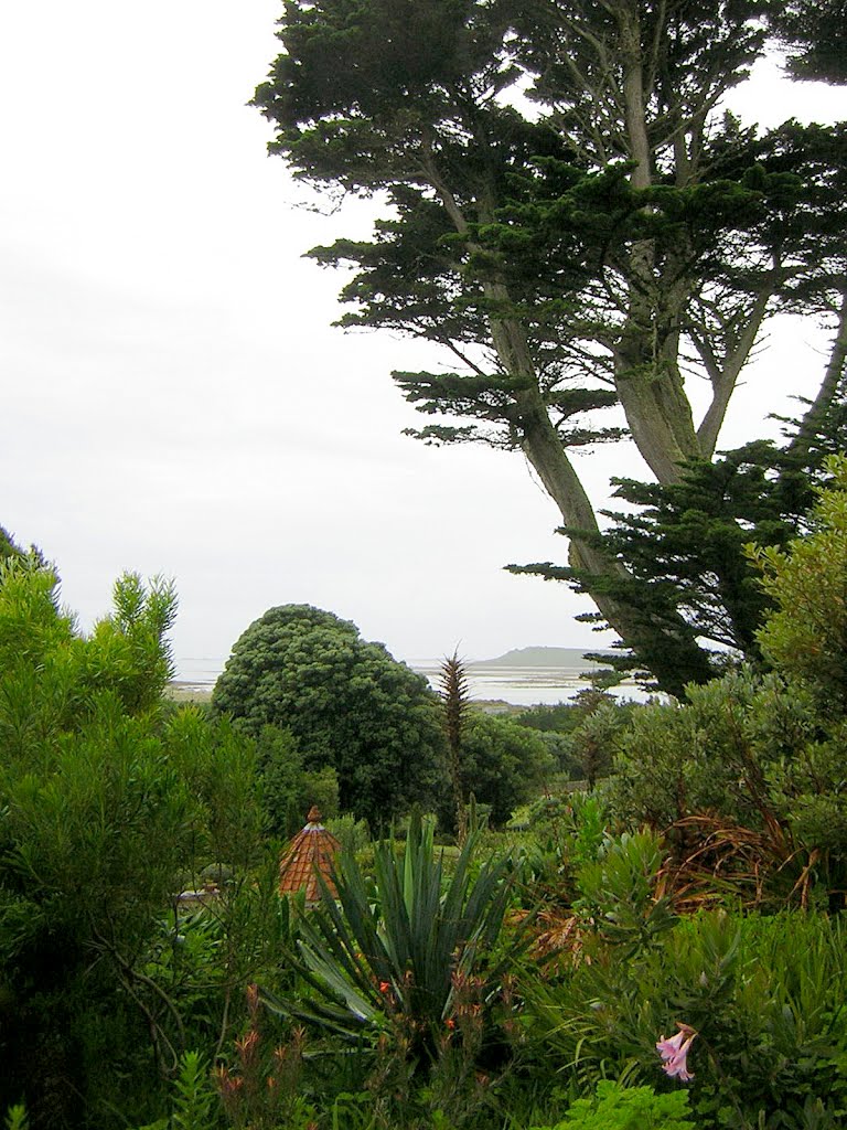 Tresco Abbey gardens in the Isles of Scilly by Chris Scaysbrook