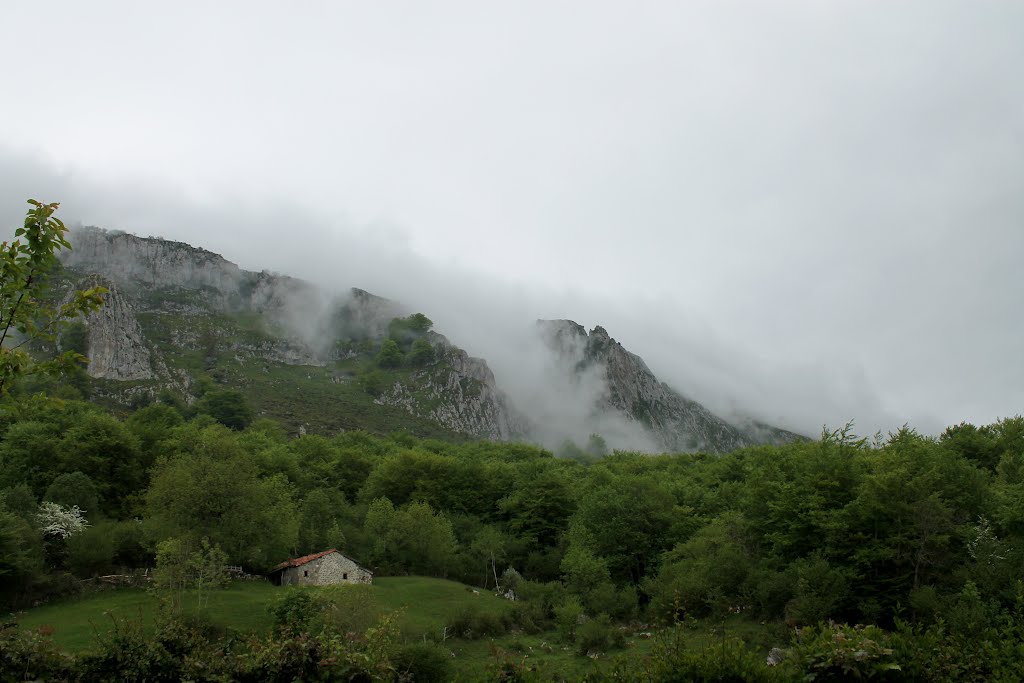 Niebla by Begoña Pendás