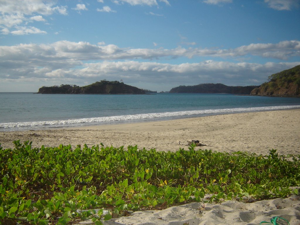 Arena, Sol y mar Playa Penca by joygarcia