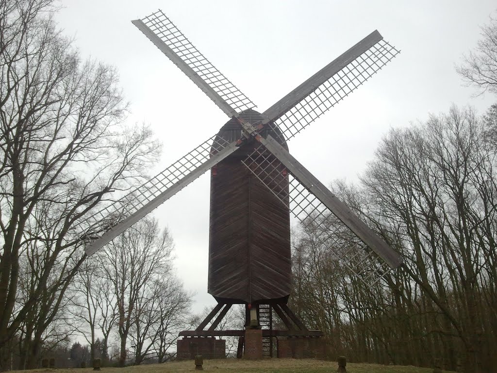 Mühle in Speckenbüttel. ( mill at Speckenbüttel ) by Grashüpfer