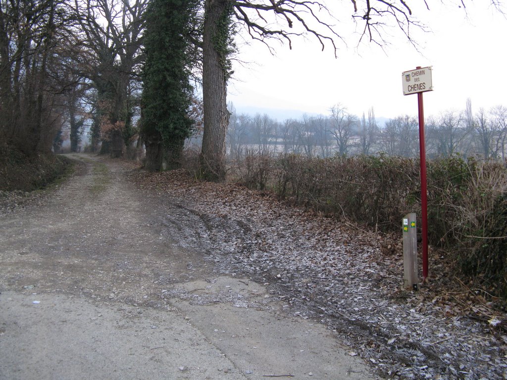 Chemin des Chênes (montée) by Paul Myers