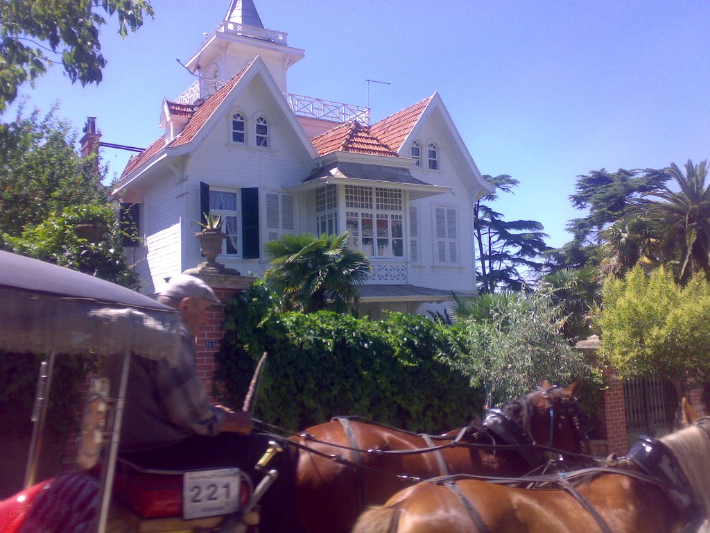 BÜYÜKADA PAYTON VE KÖSK BY ORKUN YEKCAN by kartalorkun