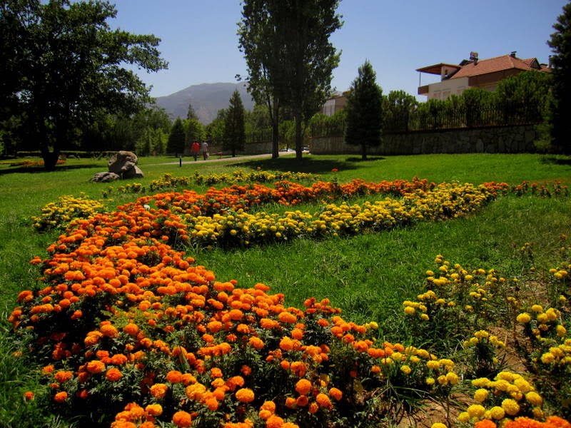 Parktan bir manzara, Denizli by Osman Ünlü