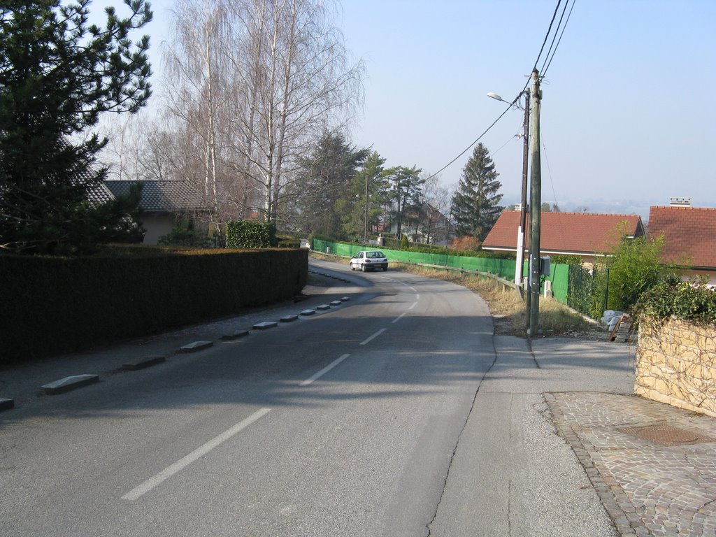 Chemin de Bottecreux (descente) by Paul Myers