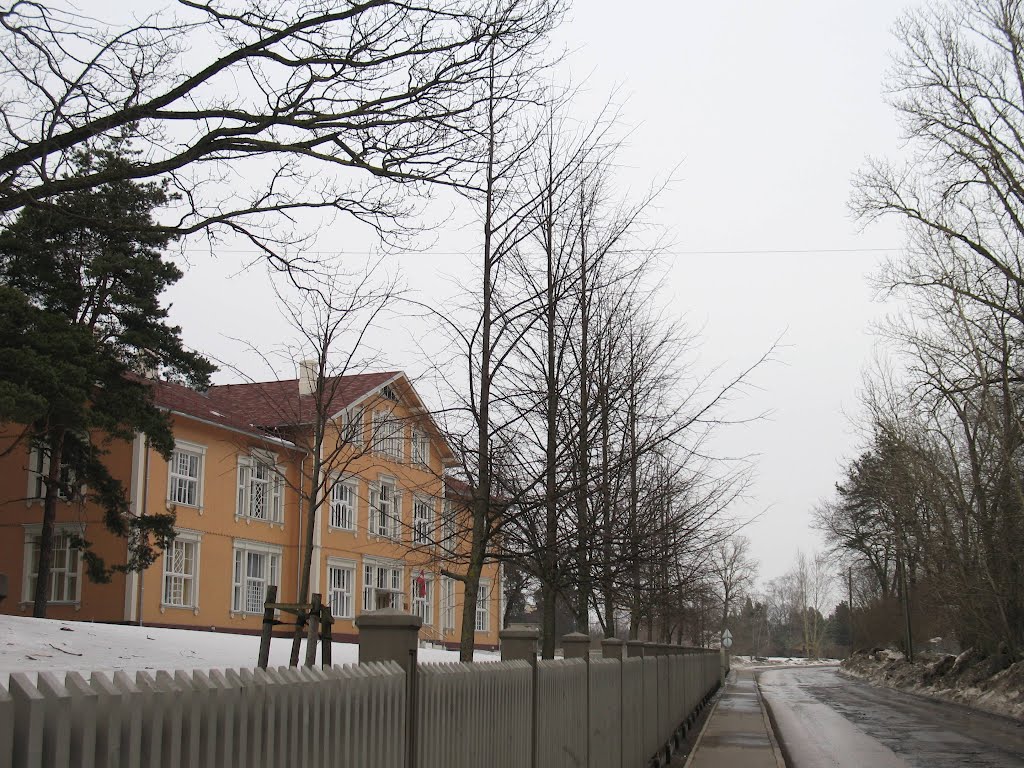 Art school, Vecmīlgrāvis by Rudolph LV