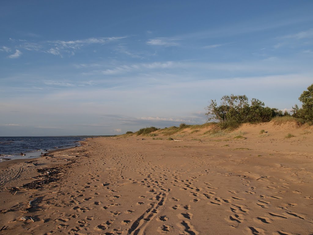 Mangalsala's beach by Rudolph LV