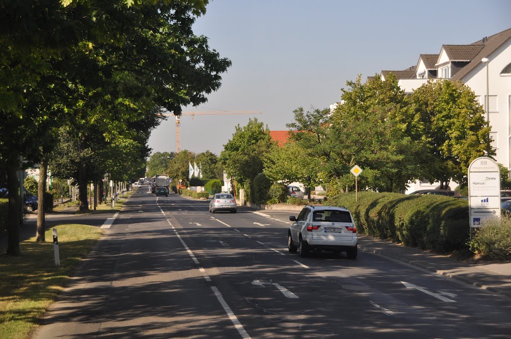 Hochheim am Main : Frankfurter Straße by A Photographer