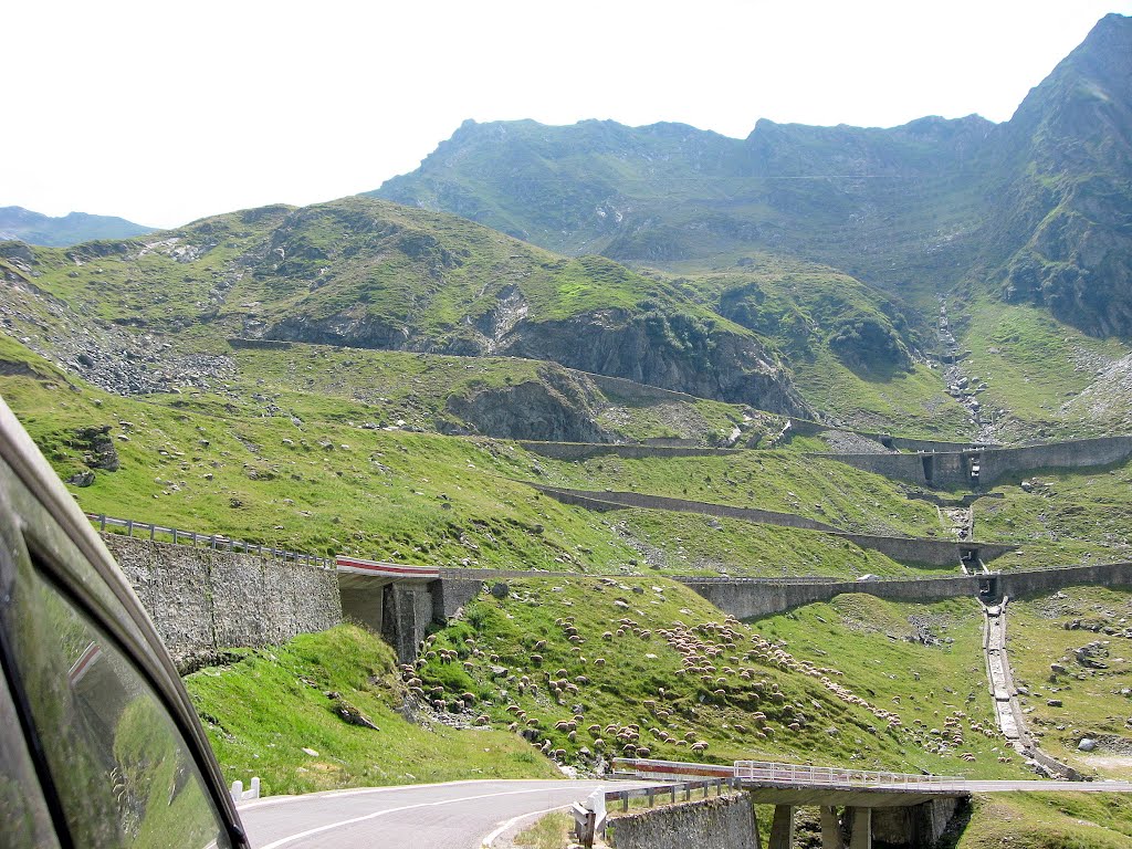 Transfagarasan by roj-2004