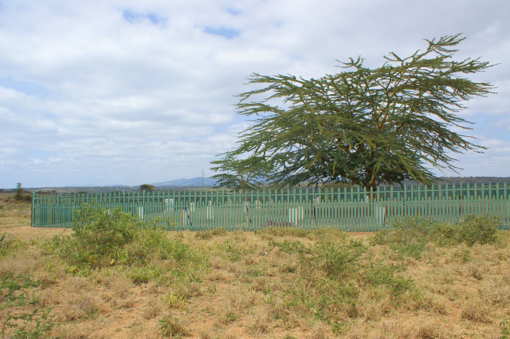 Kajiado War Cemetery WW I by Kinyanjui Hager