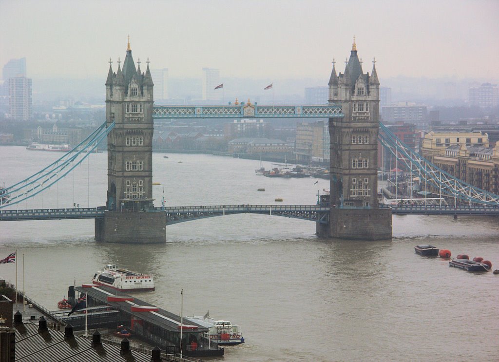 Tower Bridge From The Monument 12/02/06 by reticulese