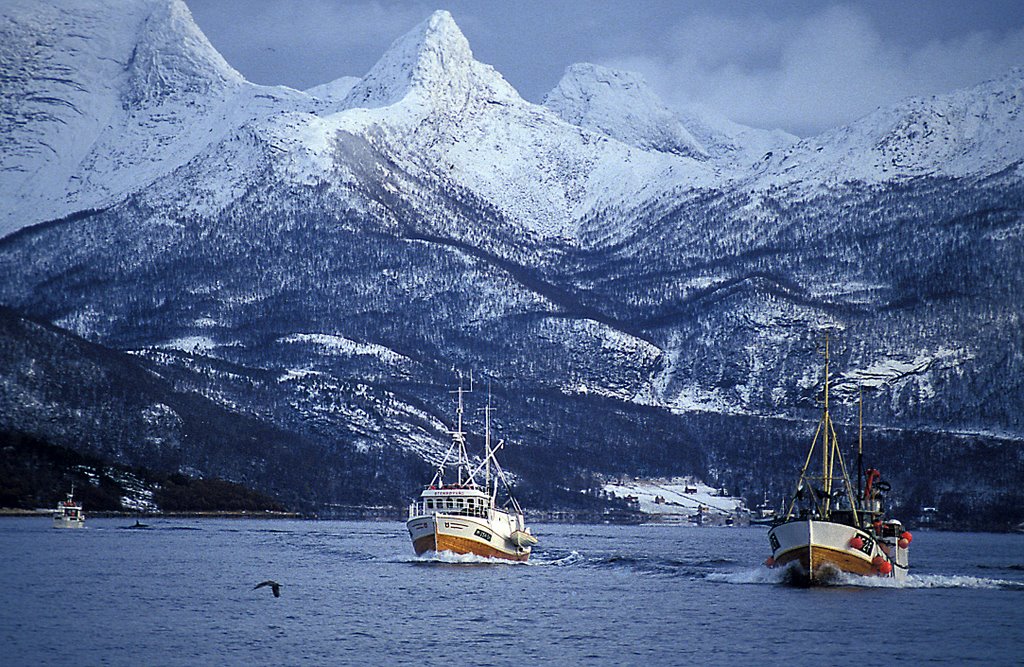 Tysfjord Norway by Torbjörn Larsson