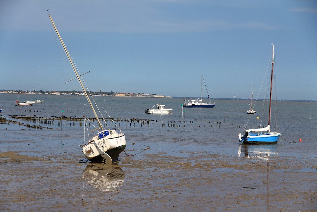 Mouillages dans la baie du Chapus. Bourcefranc. by Bernard Fontaines