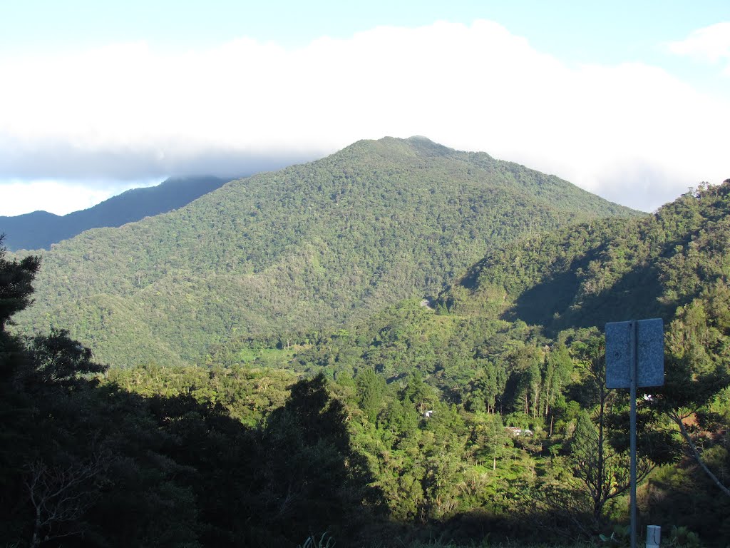 Cerro Fortuna en la Reserva de la Biósfera La Amistad Panamá. by arod24