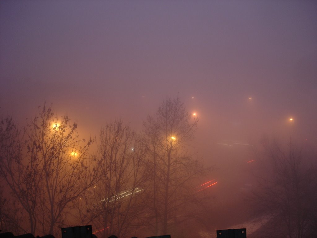 Jarun fog over the crossing by matkec