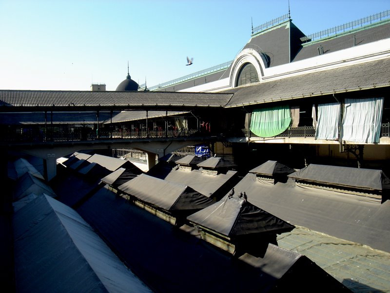 Mercado do Bolhão, Porto by manuel-magalhaes