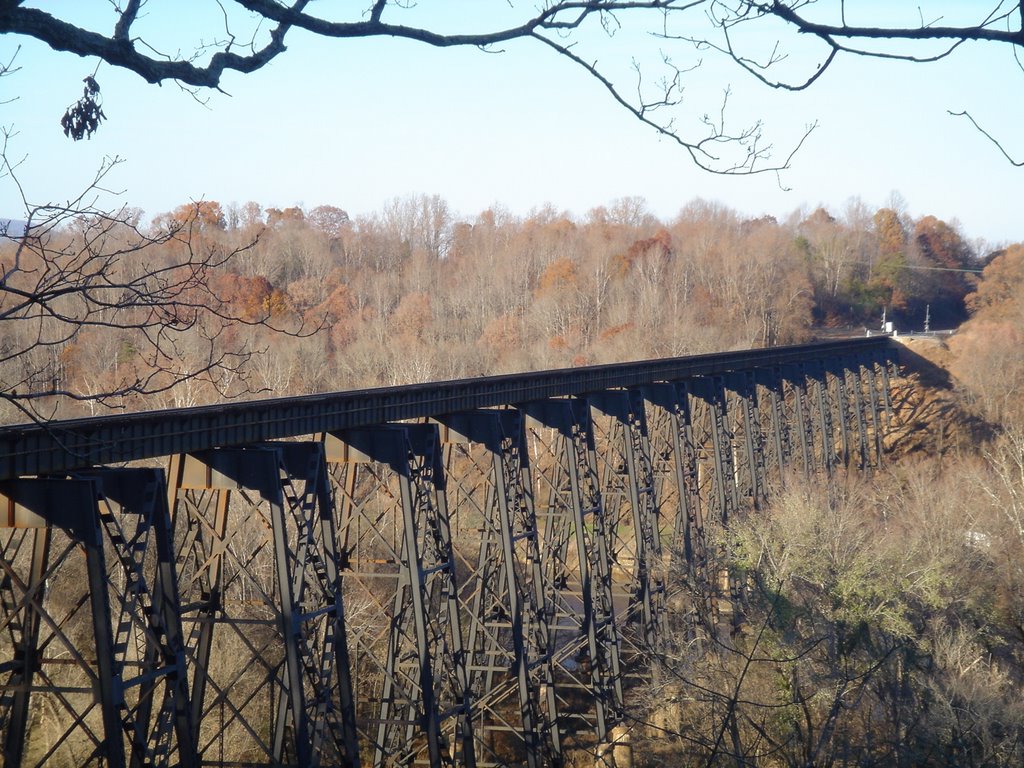 Norfolk Southern Trestle by DieselDucy