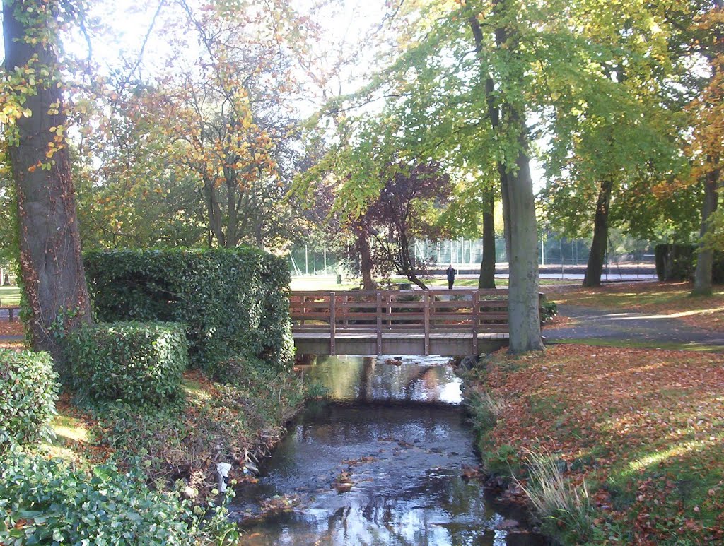 Bournville Park by steve_uk9