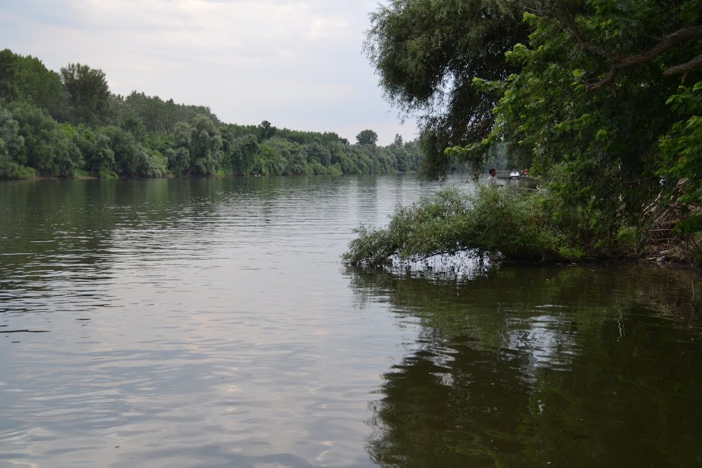 Tisza by Mop