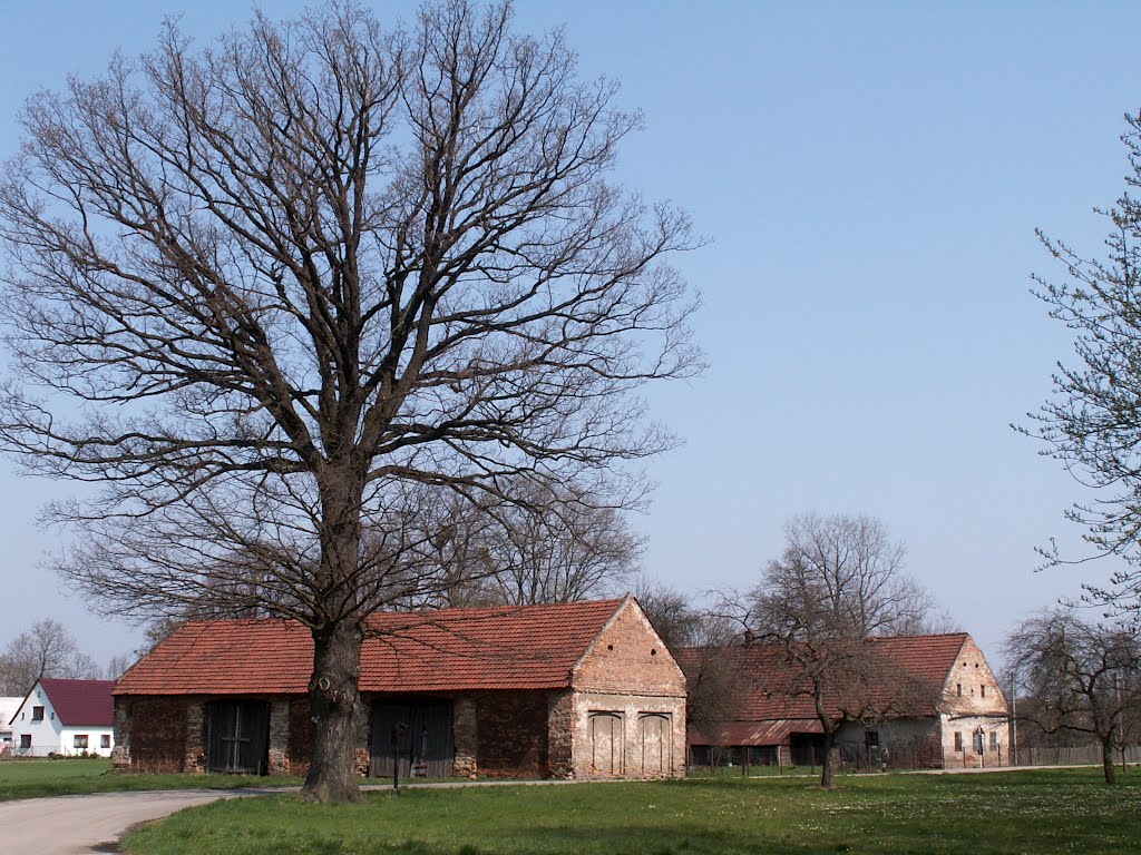 Vesnický motiv ze Žabně I - duben 2005 by FotoMor