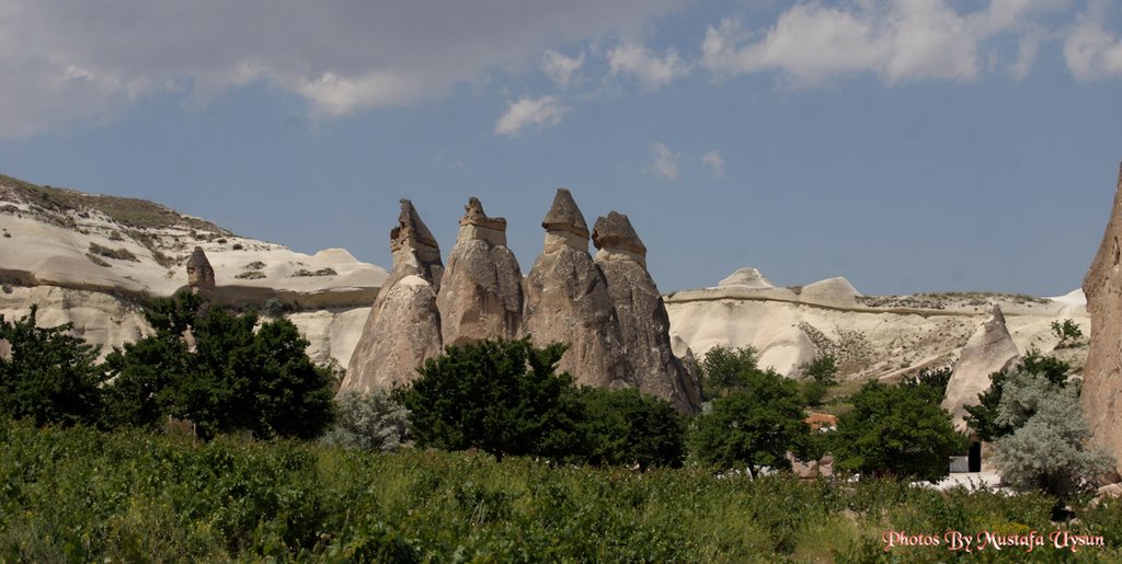 Pasabag fairy chimneys / Avanos / Cappadocia by muysun