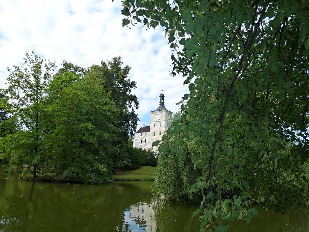 Zámek Březnice - Castle of Breznice by Sicca