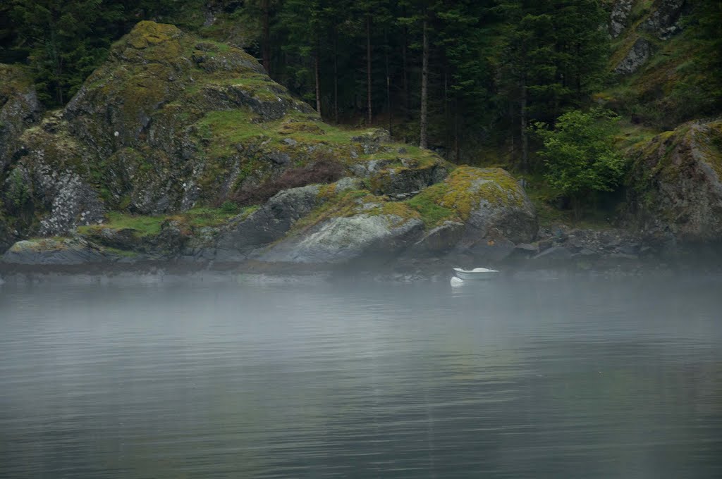 Norwegian evening on the lake by Elenica