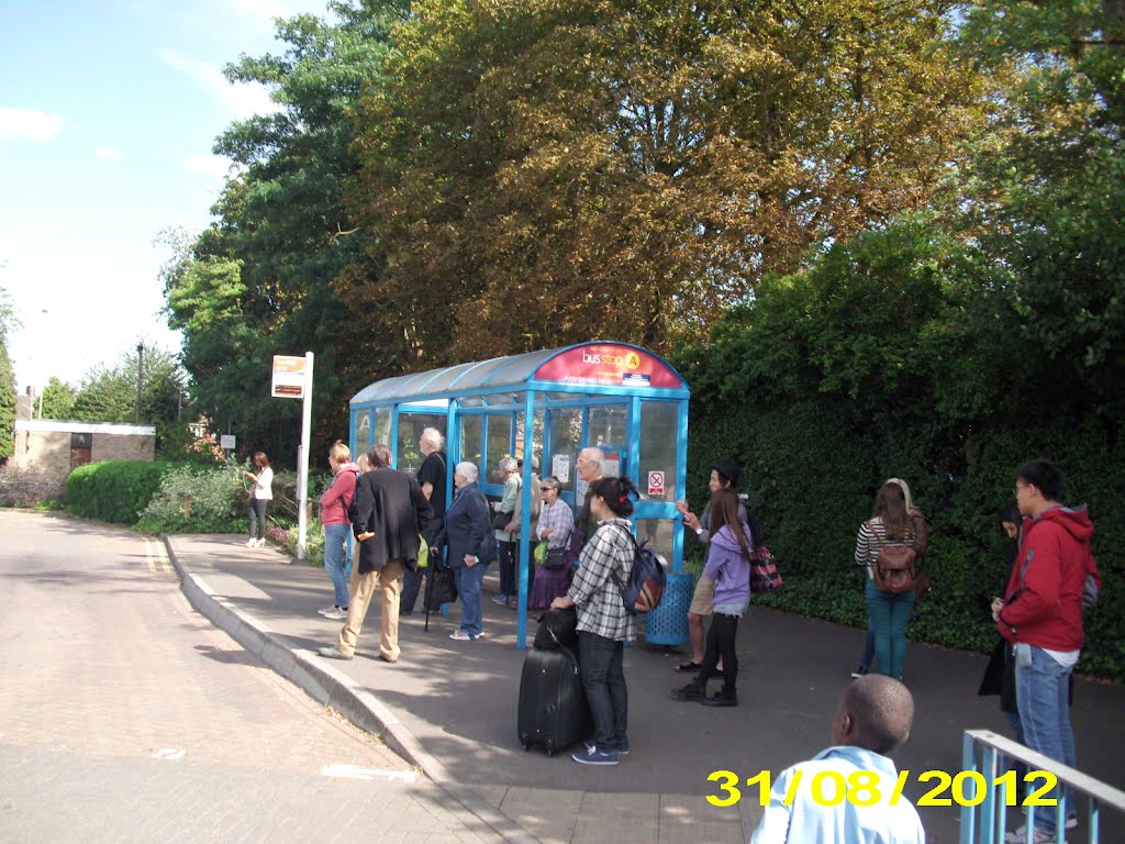 Addenbrooks bus stop. by Simiyu