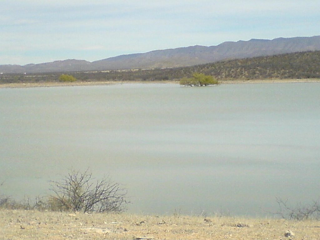 Presa de San Pedro del Gallo. by García_Carrillo