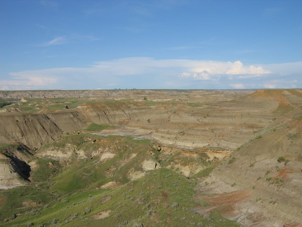 The Clouds, Blues, Grasses, Hoodoos and Dirt at Dinosaur Park AB by David Cure-Hryciuk