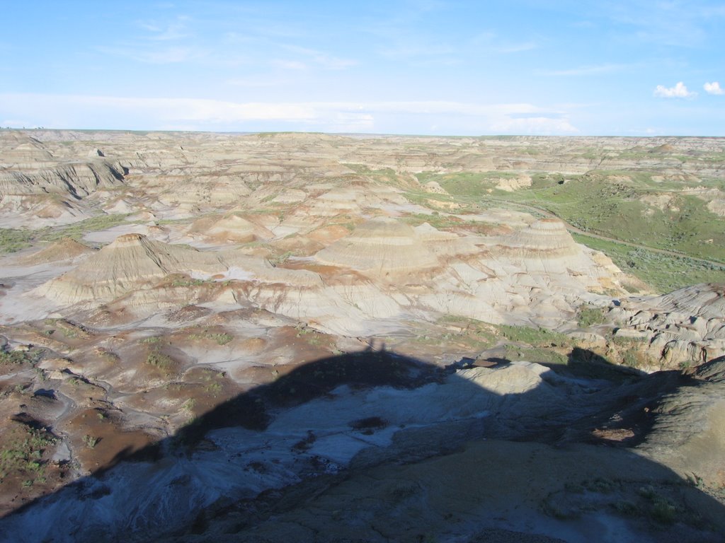 Arid Expanses of Barrens and Badlands in Dinosaur Park AB by David Cure-Hryciuk