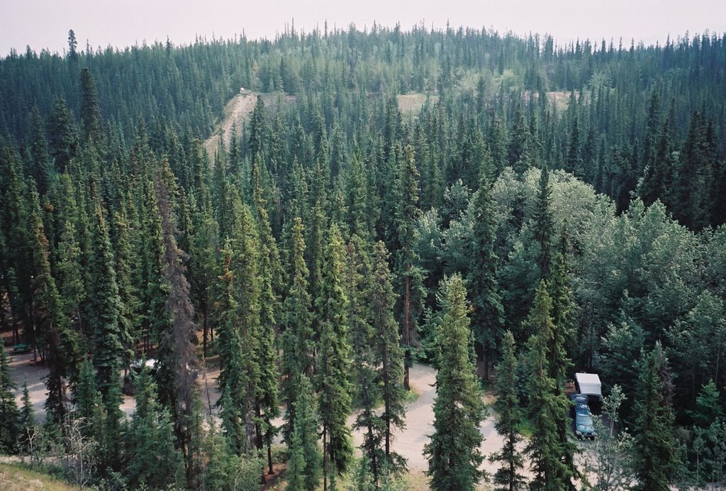 Wolf Creek Campground Near Whitehorse by David Cure-Hryciuk