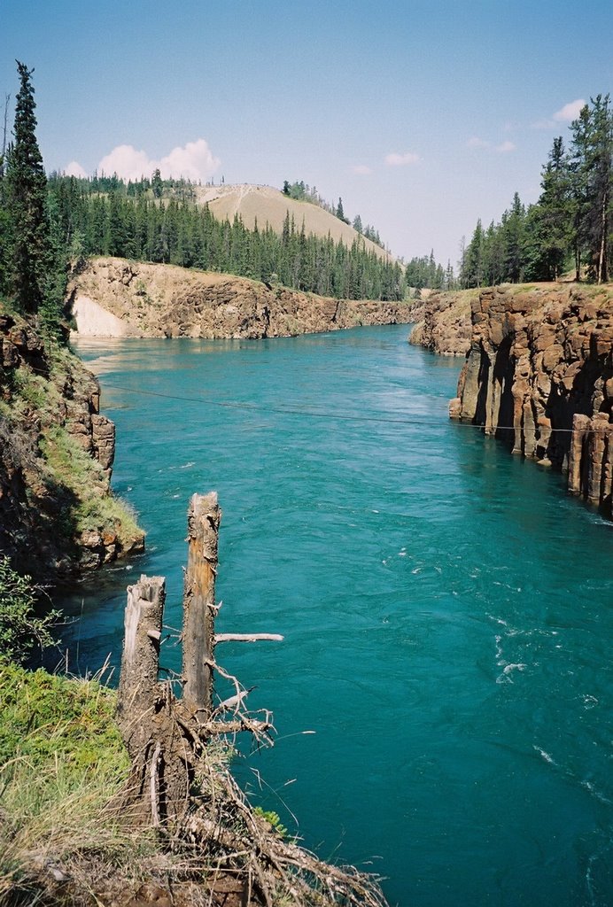 The Crystal Blue Waters of the Yukon Near Whitehorse by David Cure-Hryciuk