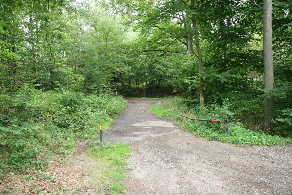 Von Buchholz nach Brodenbach durch die Ehrbachklamm by helicop