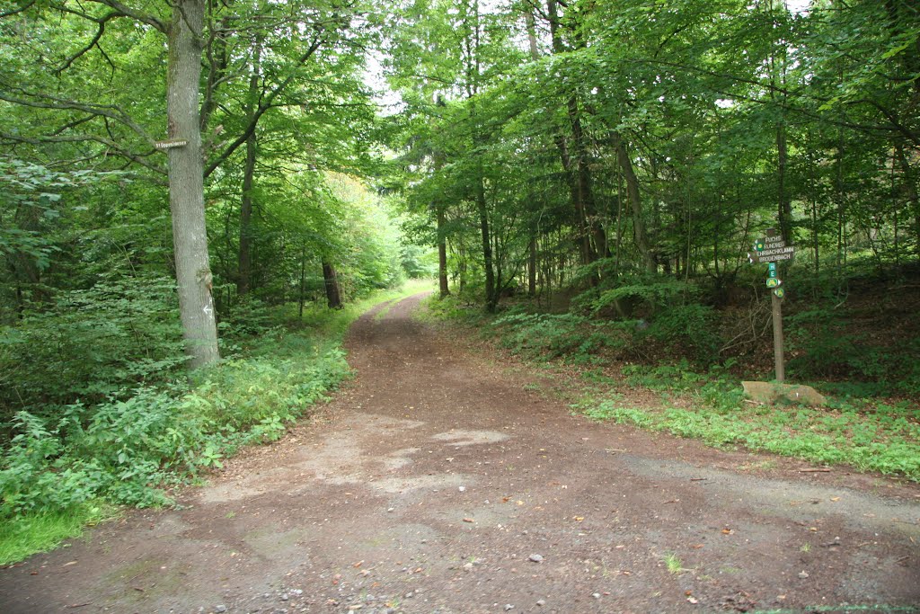 Von Buchholz nach Brodenbach durch die Ehrbachklamm by helicop