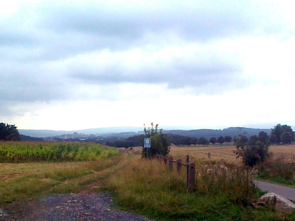 Blick vom Brückenradweg aus Richtung Hohlenbrunn by wolfgang.kohl6463