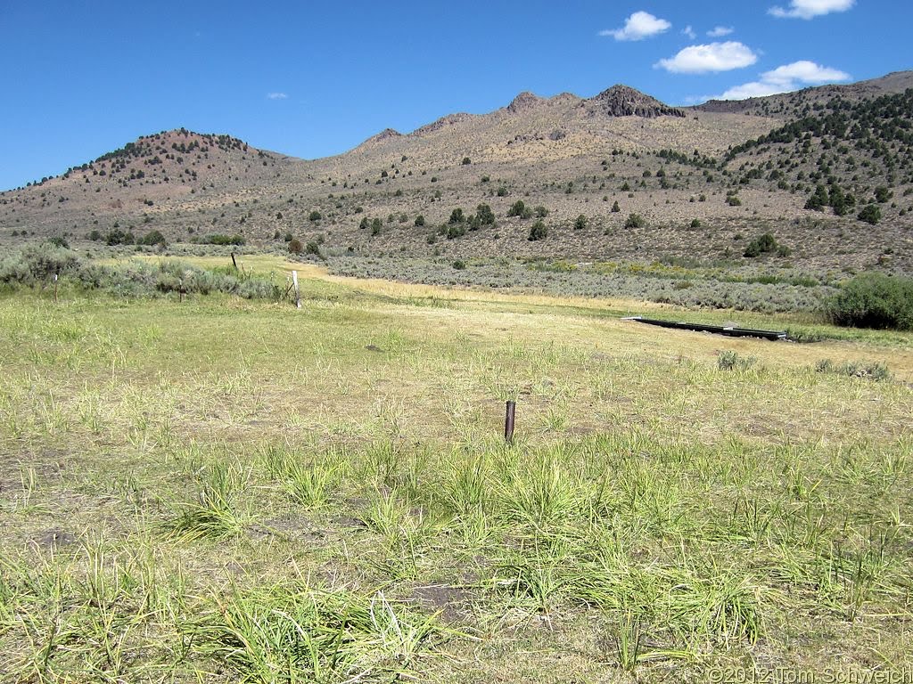 Meadow in Bridgeport Canyon cleaned out ... by Mudflats47