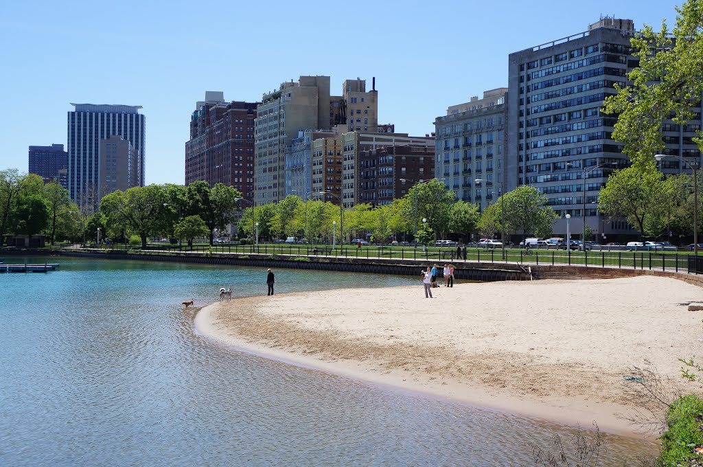 DOg Beach, Belmont Harbour by indie66