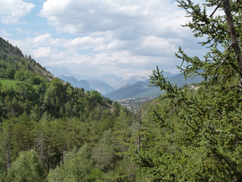 Sentier du torrent du Chagne entre Guillestre et Risoul - vue sur le Pelvoux by kaliste