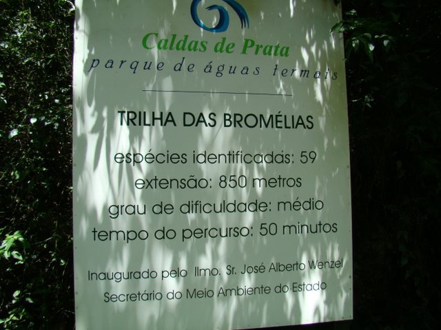 TRILHA DAS BROMÉLIAS by Darlan Corral