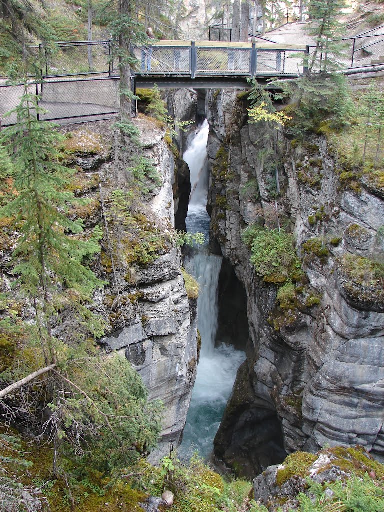 Waterfall in Jasper Maligne Canyon, Alberta, Canada by Joseph Hollick