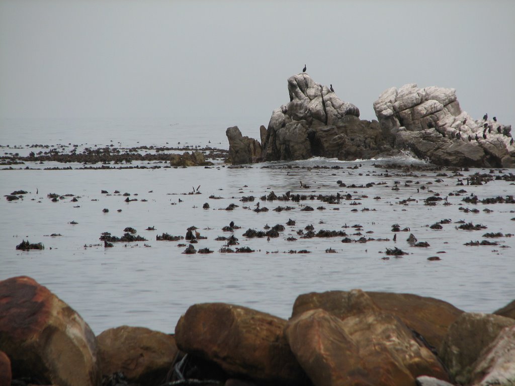 Stoney Point by Leo Burger