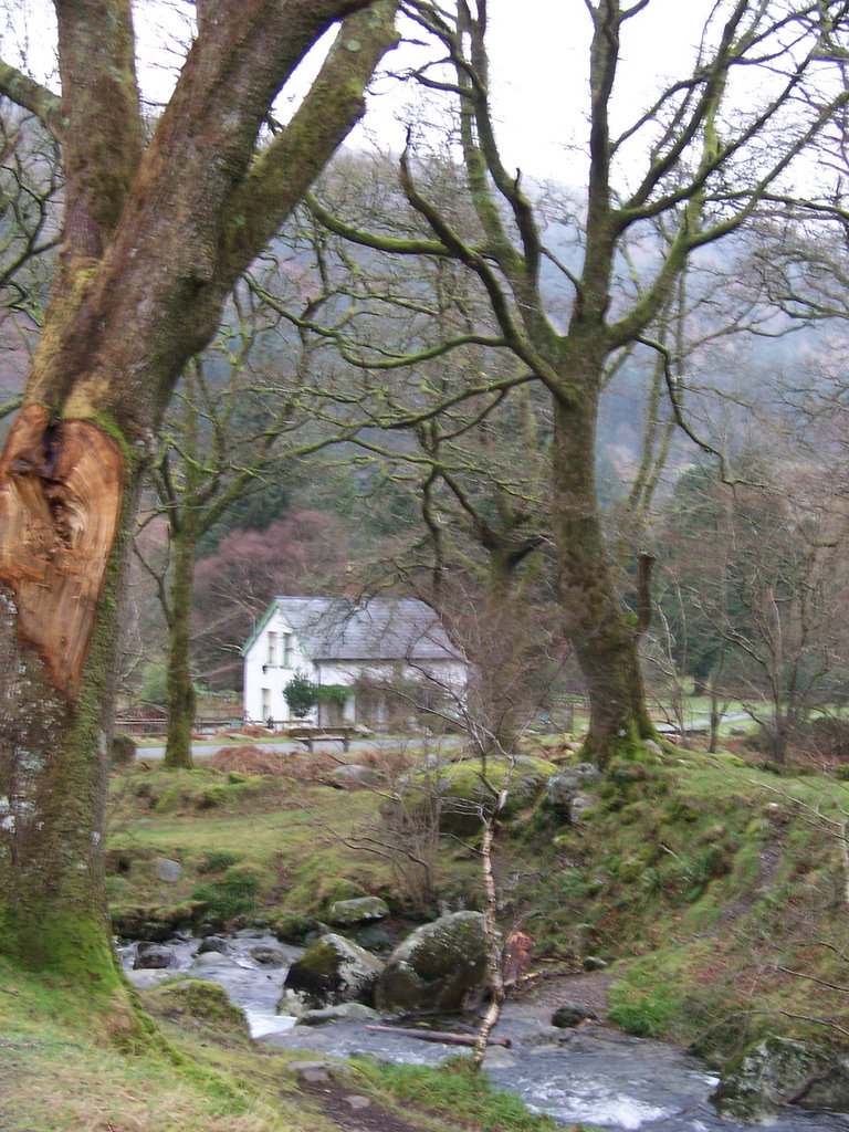 Glendalough by Yvette