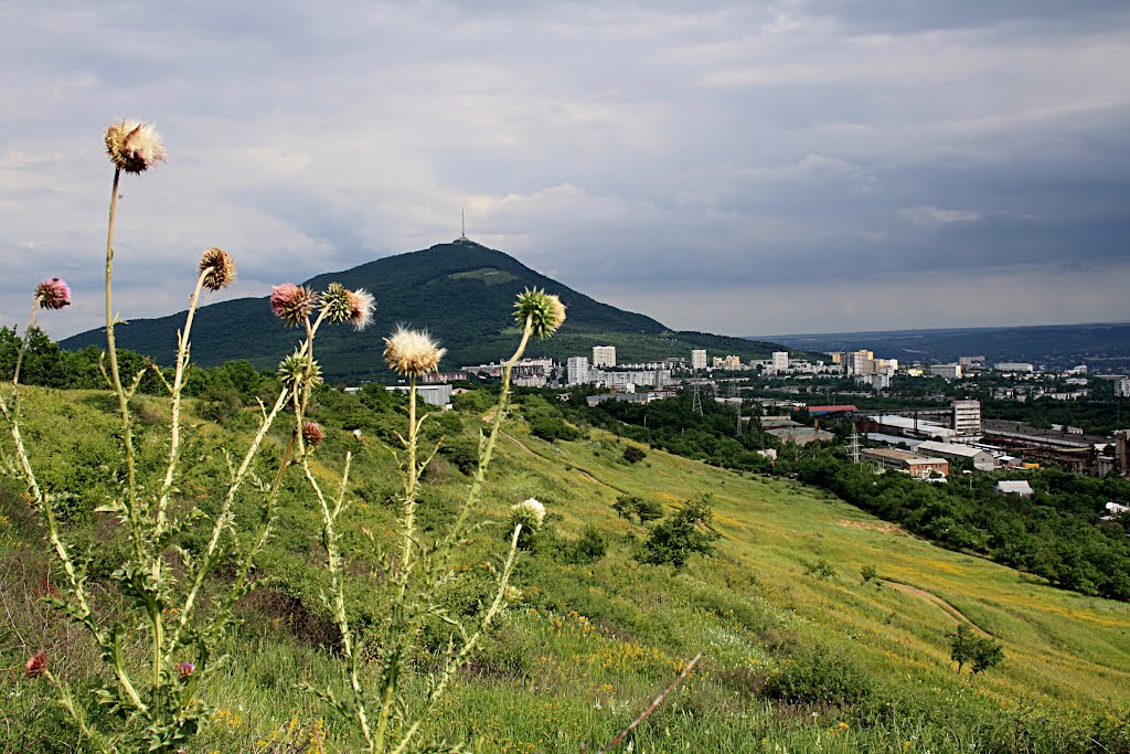 Вид на Пятигорск. Pyatigorsk. by koltypinalid