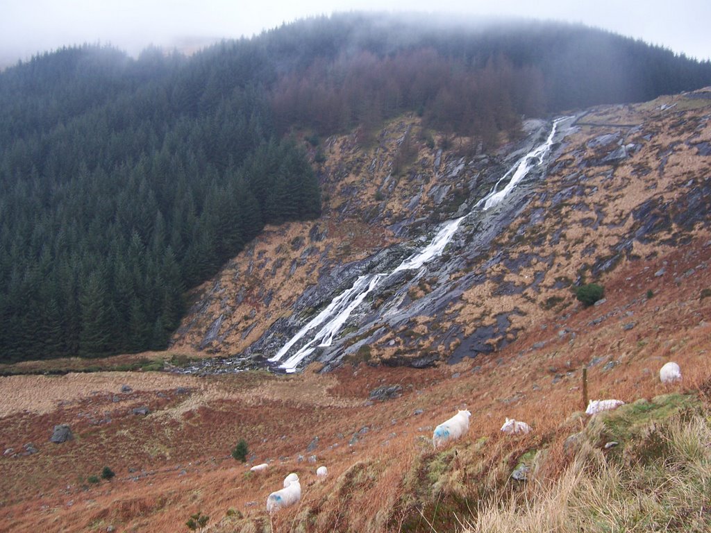 Wicklow Mountains Waterfall by Yvette