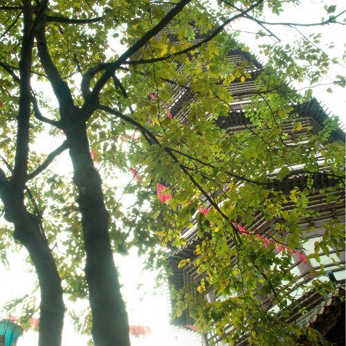 Flower pagoda in six banyan trees temple by Minamiyuan