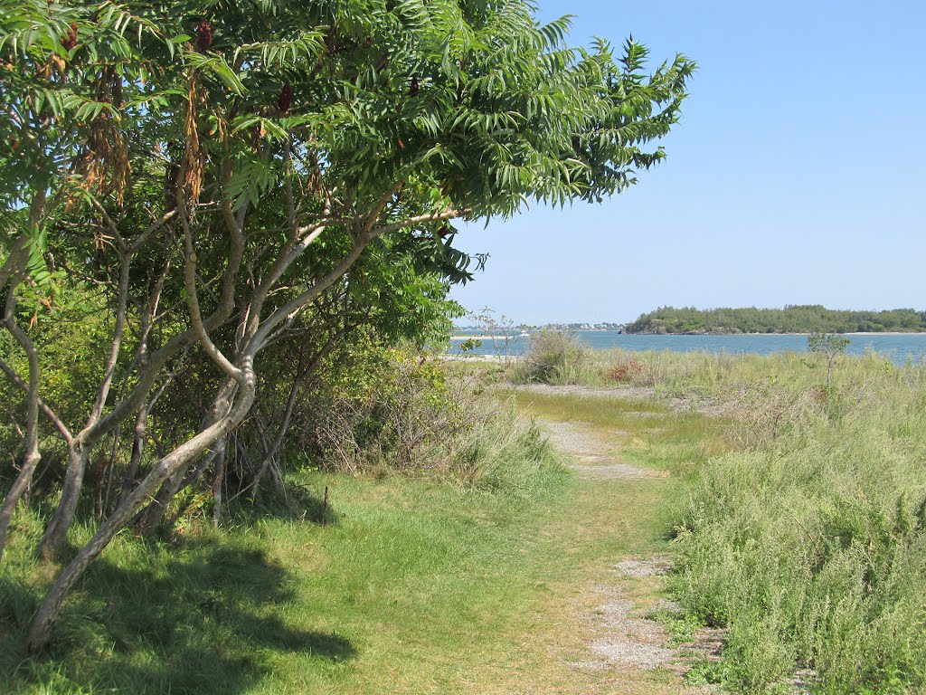 Trail on Grape Island by Alan Brodie