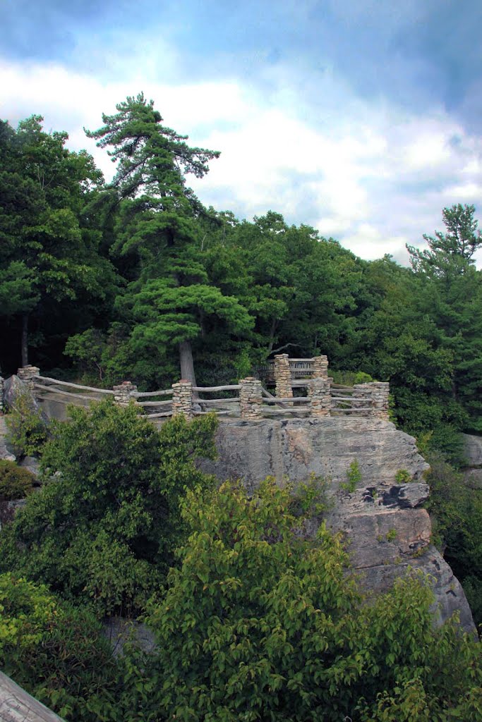 Coopers Rock State Forest - mirador by Francisco José Sánchez Sánchez